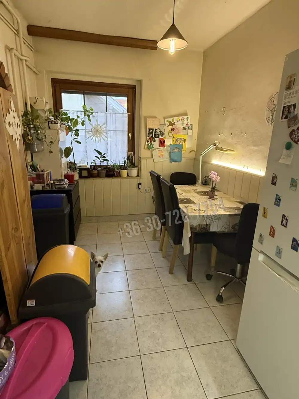 Budapest, XVI. kerület - Rákosszentmihály