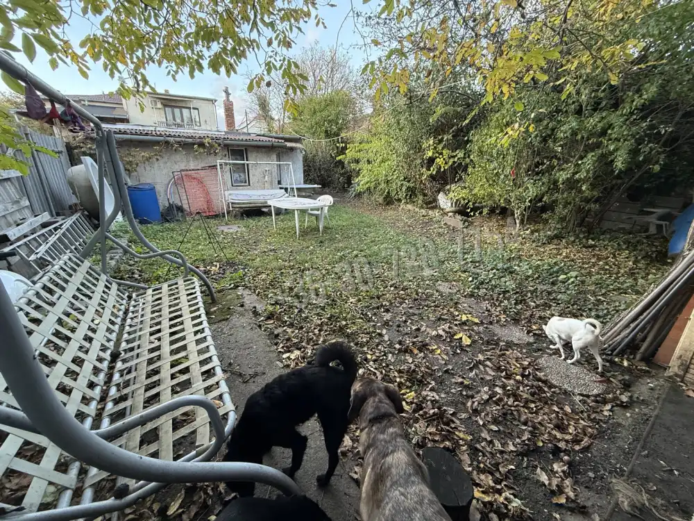 Budapest, XVI. kerület - Rákosszentmihály